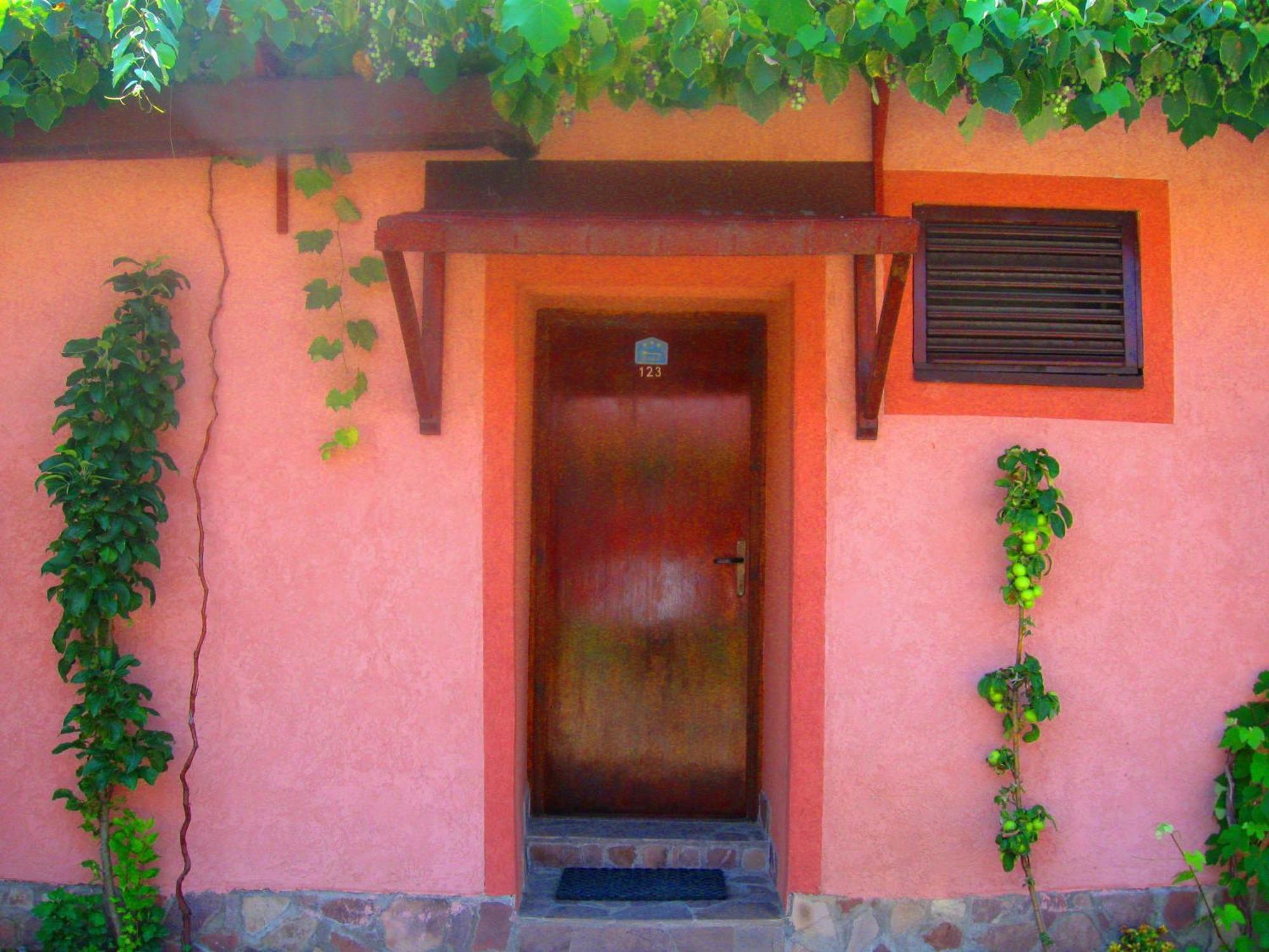 Amfora Rooms Caribrod Dimitrovgrad Zimmer foto